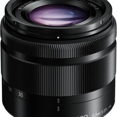 Panasonic LUMIX H-FS35100E-K