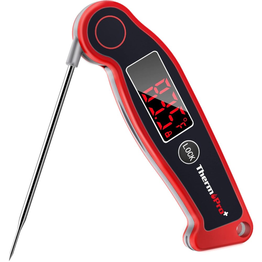ThermoPro TP19